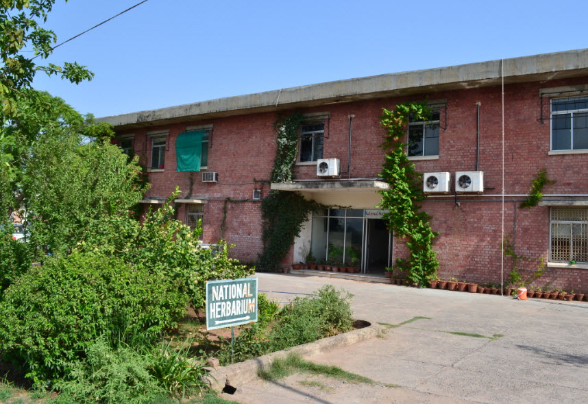 National Herbarium of Pakistan, Islamabad, Pakistan